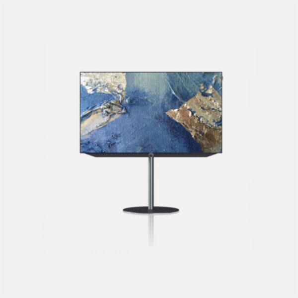 Loewe Bild v.55 dr+