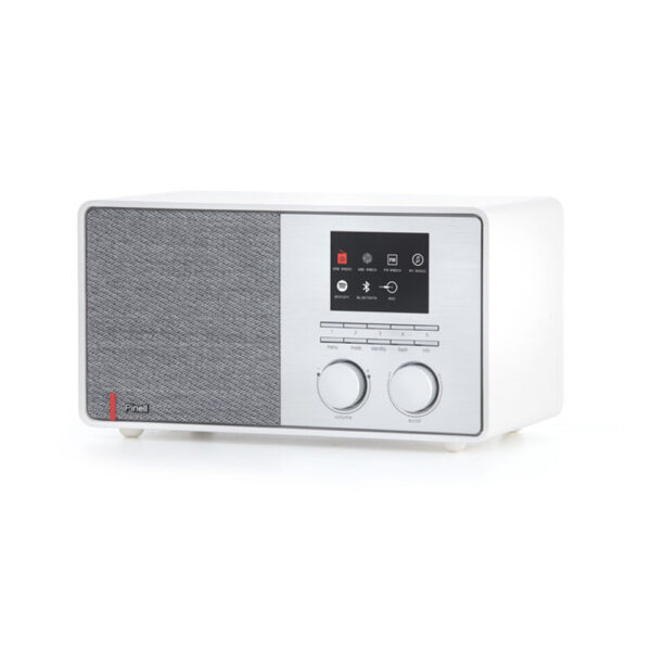 Pinell 301 Internetradio wit