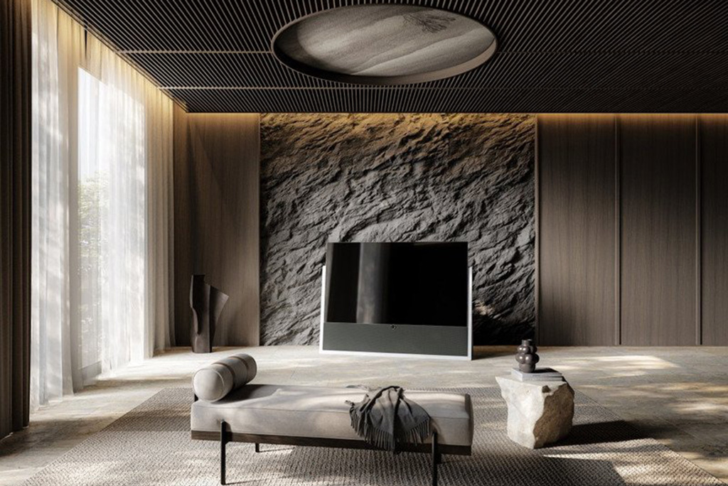 Loewe Iconic OLED interieur