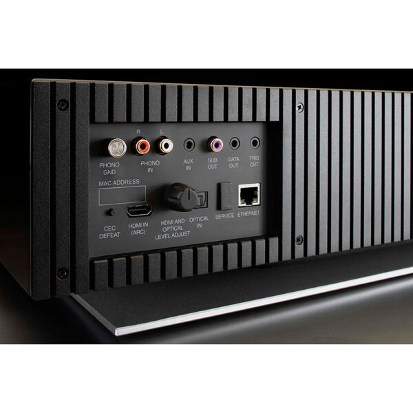 McIntosh RS250 achterzijde detail