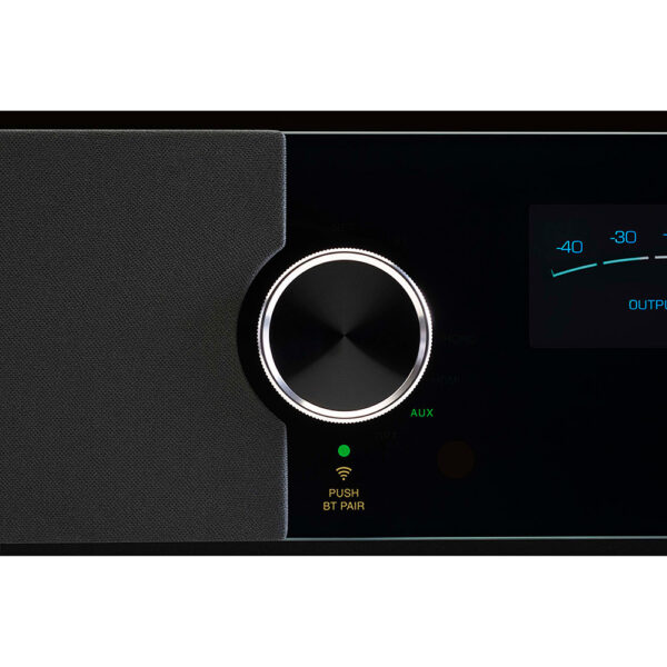 McIntosh RS250 detail 1